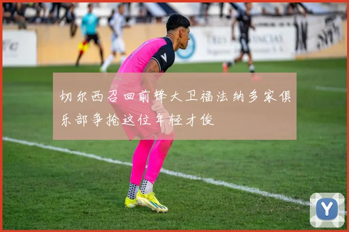 切尔西召回前锋大卫福法纳多家俱乐部争抢这位年轻才俊